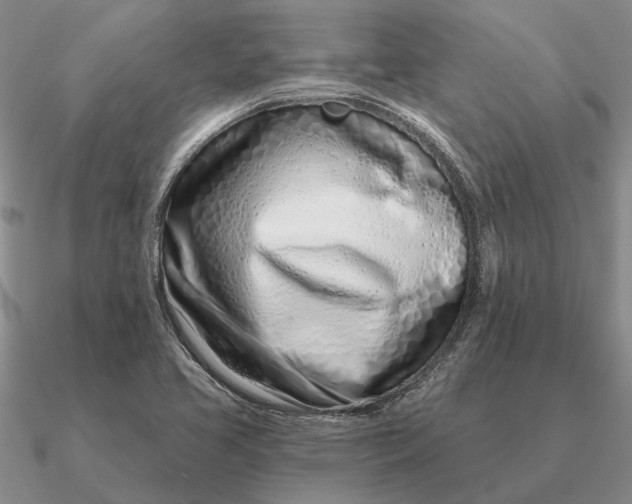 X0000090611413200708071154