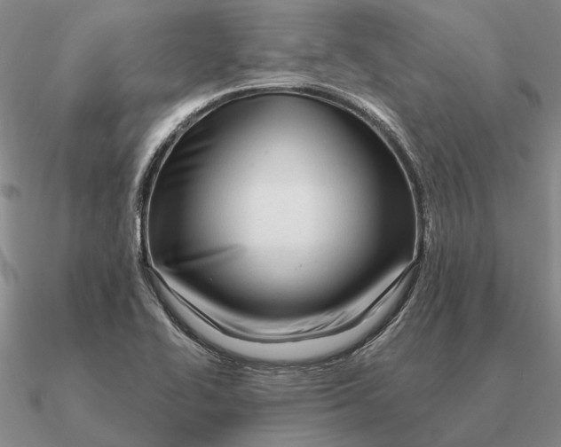 X0000090611414200708071154