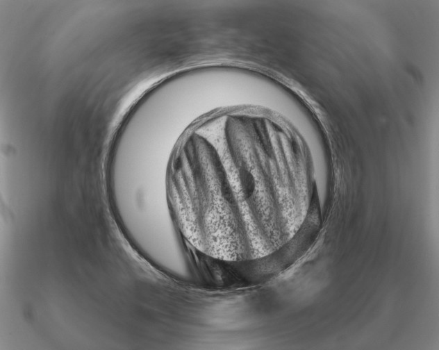 X0000090611416200708071154