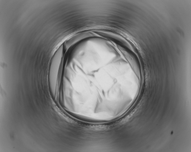 X0000090611417200708071154