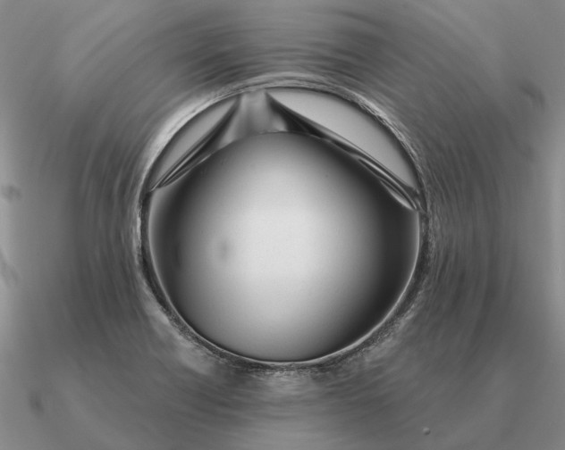 X0000090611418200708071154