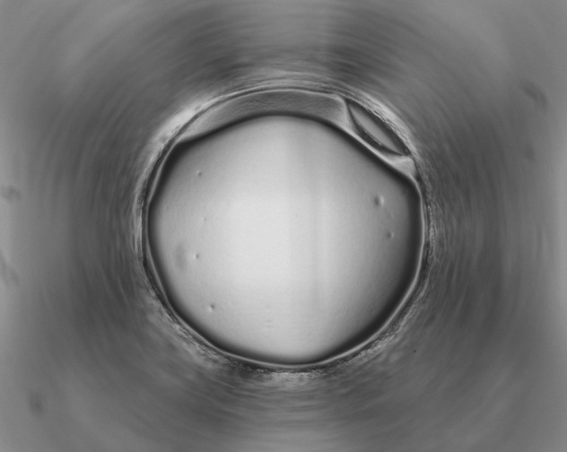 X0000090611419200708071154