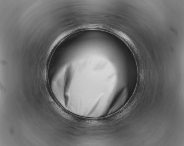 X0000090611420200708071154