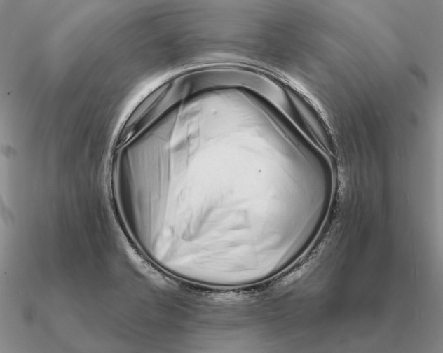 X0000090611421200708071154