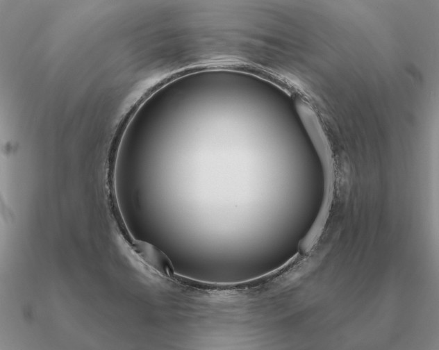 X0000090611422200708071154