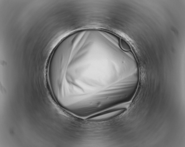 X0000090611423200708071154