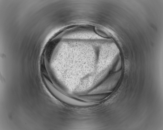 X0000090611424200708071154