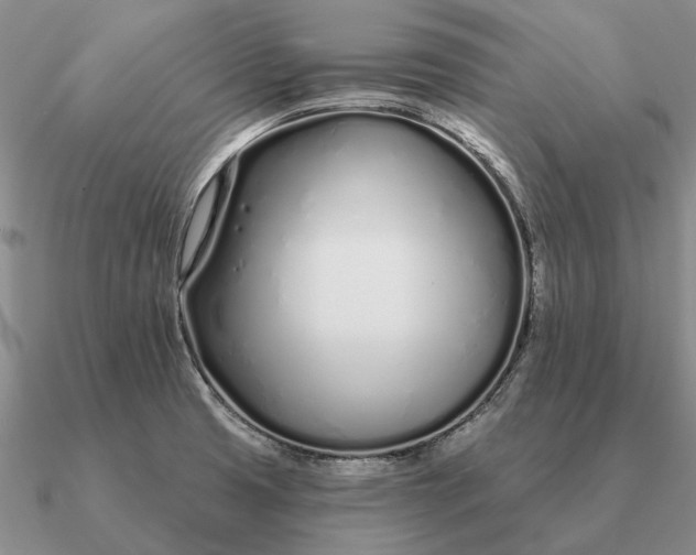 X0000090611425200708071154