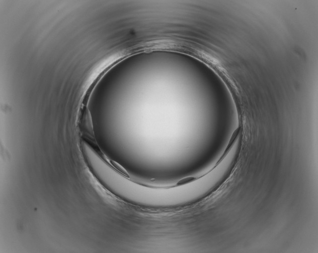 X0000090611426200708071154