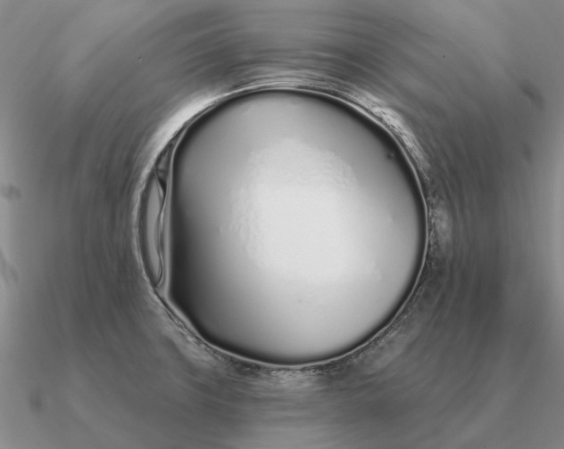 X0000090611427200708071154