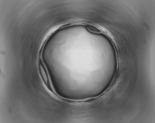 X0000090611429200708071154