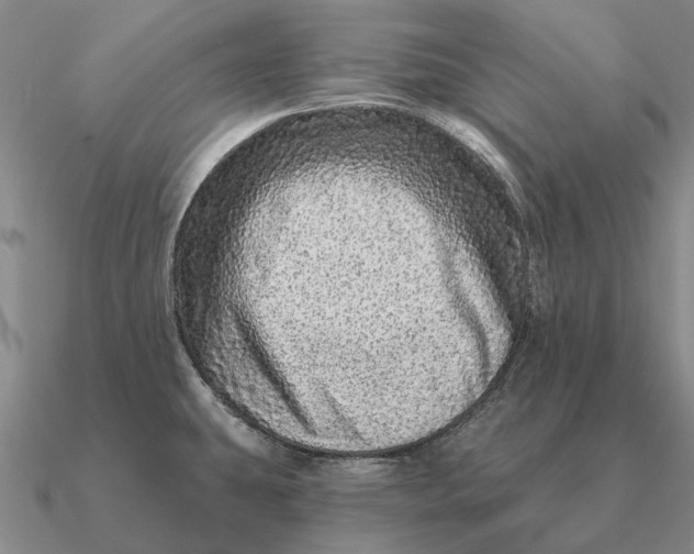 X0000090611431200708071154