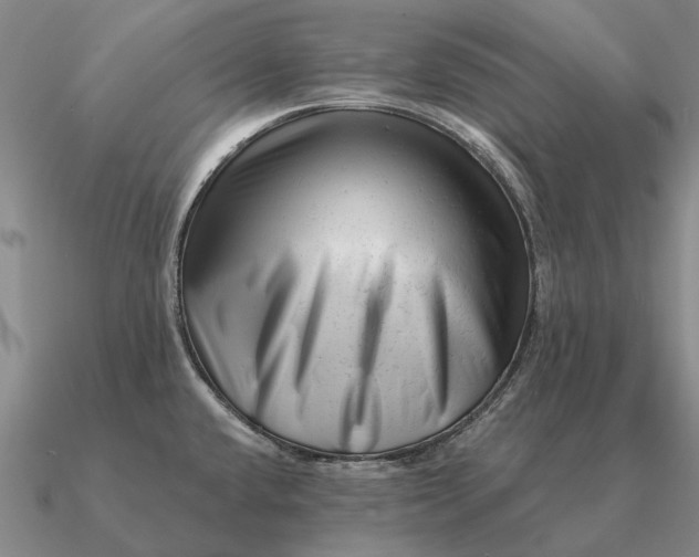 X0000090611432200708071154