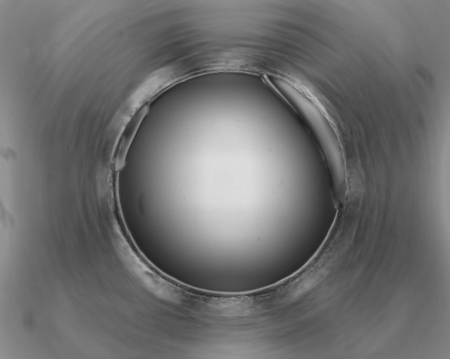 X0000090611434200708071154