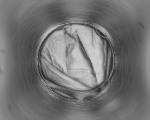 X0000090611435200708071154