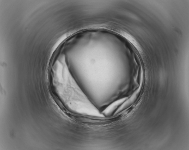 X0000090611436200708071154