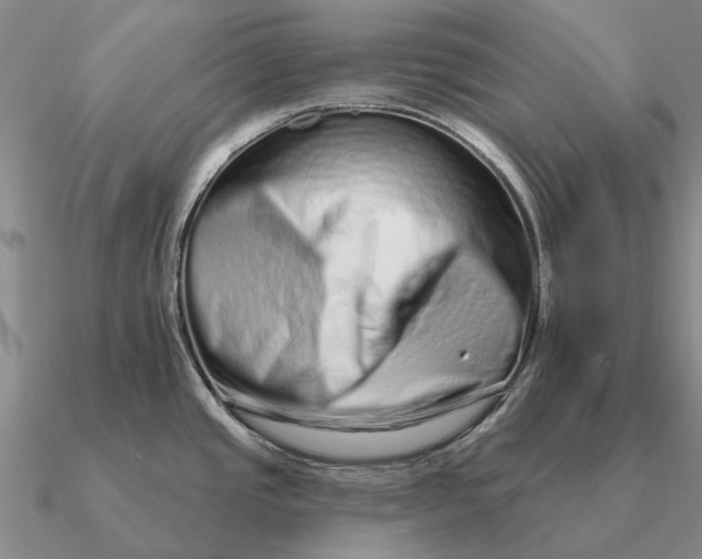 X0000090611437200708071154