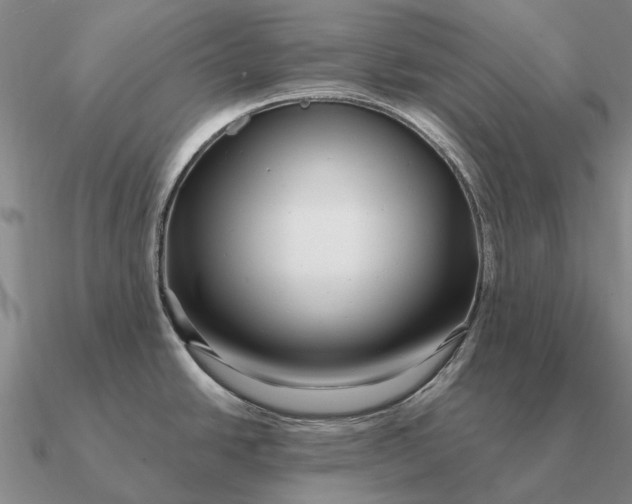 X0000090611438200708071154