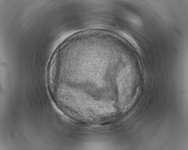 X0000090611439200708071154