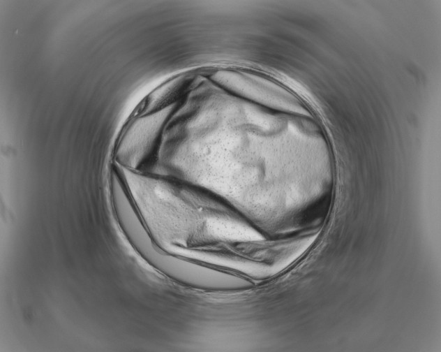 X0000090611440200708071154