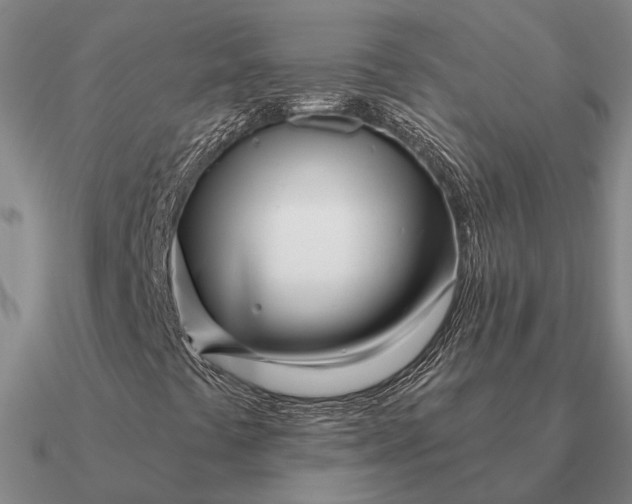 X0000090611441200708071154