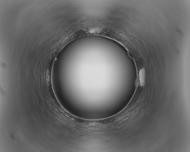 X0000090611443200708071154