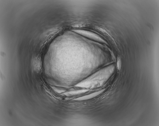 X0000090611444200708071154