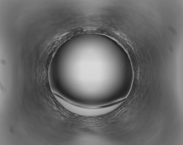 X0000090611445200708071154