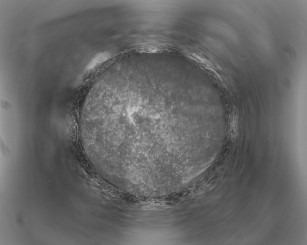 X0000090611446200708071154