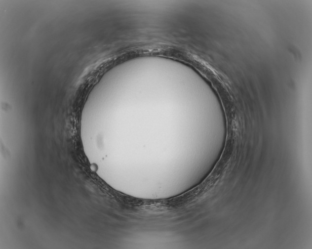 X0000090611447200708071154