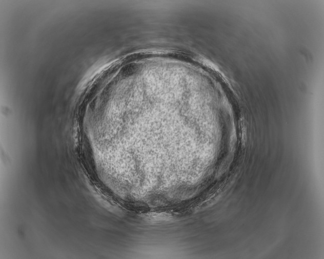 X0000090611448200708071154