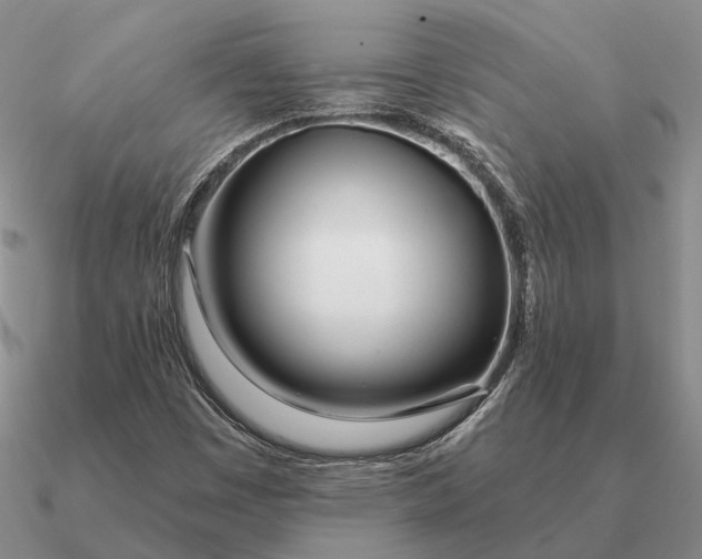 X0000090611449200708071154