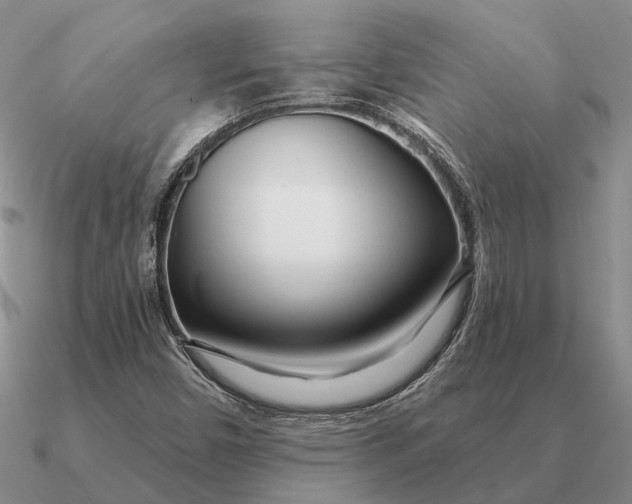 X0000090611450200708071154