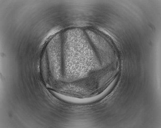 X0000090611451200708071154