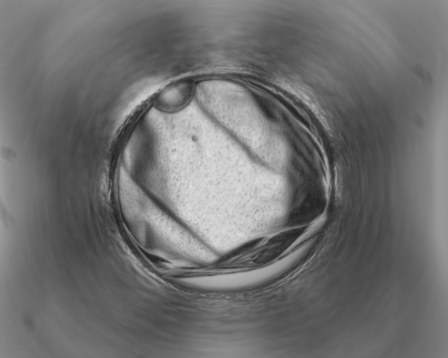 X0000090611452200708071154