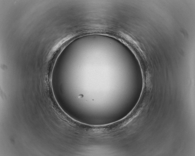 X0000090611453200708071154