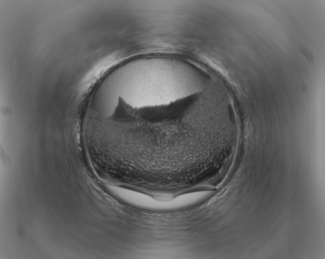 X0000090611455200708071153