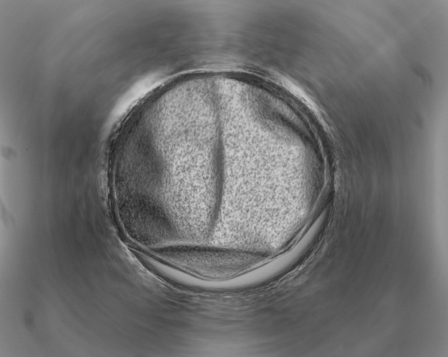 X0000090611456200708071153