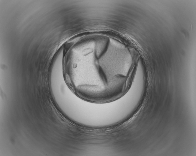 X0000090611457200708071153