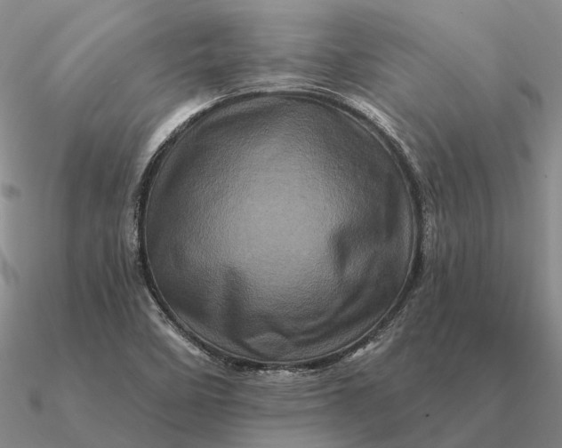 X0000090611458200708071153