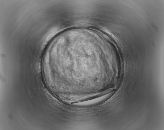 X0000090611459200708071153