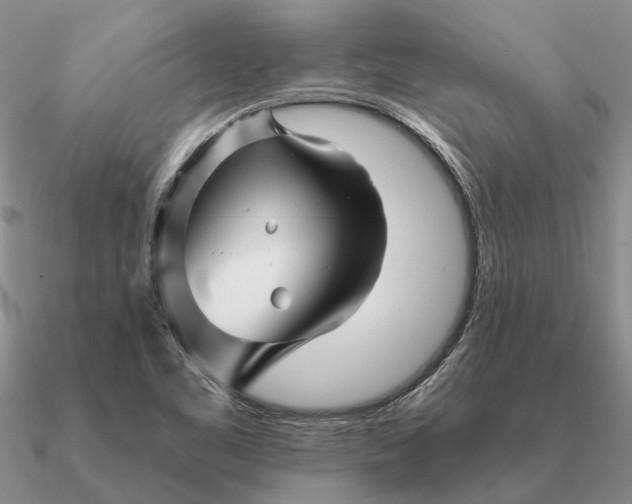 X0000090611461200708071153