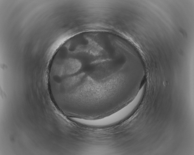 X0000090611463200708071153