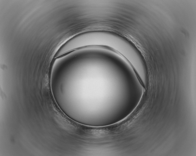 X0000090611465200708071153