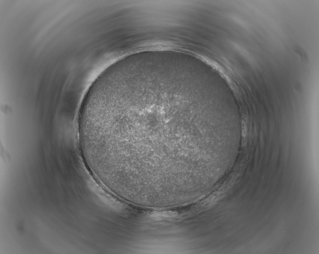 X0000090611466200708071153