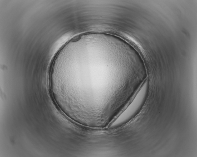 X0000090611467200708071153