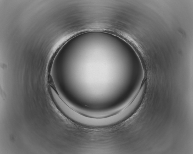 X0000090611469200708071153