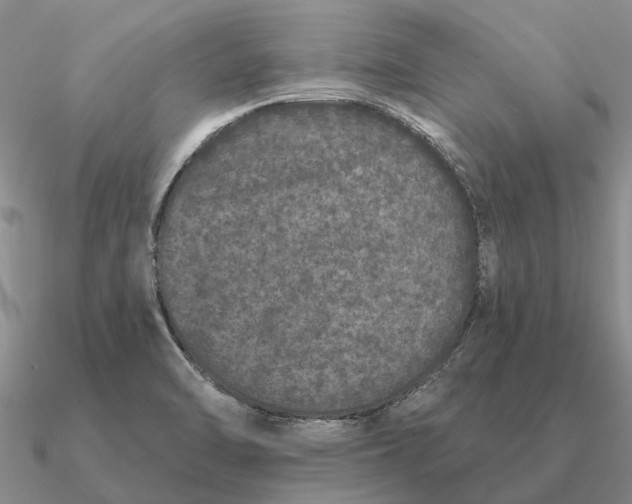 X0000090611470200708071153