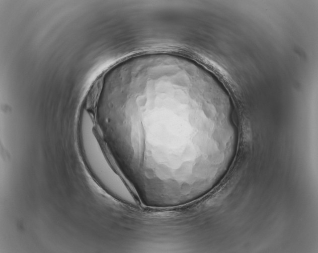 X0000090611471200708071153