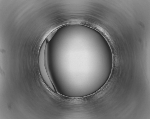 X0000090611473200708071153